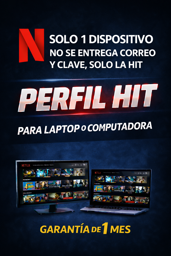 Imagen de PERFILDE  NETFLIX PARA PC O LAPTOP 30 (HIT)
