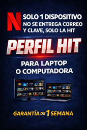 Imagen de PERFILDE  NETFLIX PARA PC O LAPTOP 7 (HIT)