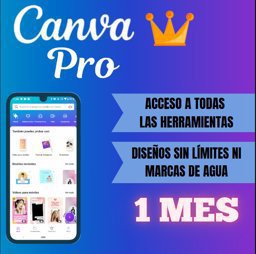 Imagen de CANVA PRO EST 1 MES